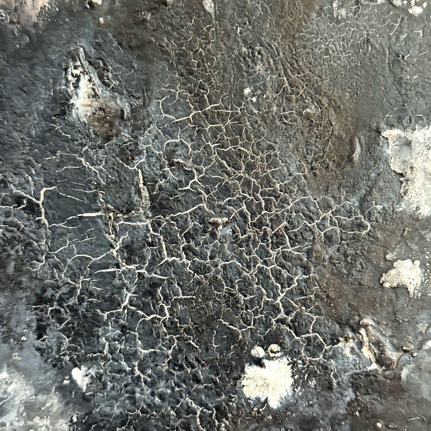 Close-up of a textured surface with network-like patterns