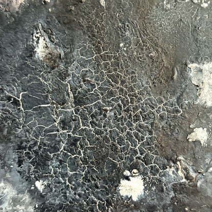 Close-up of a textured surface with network-like patterns